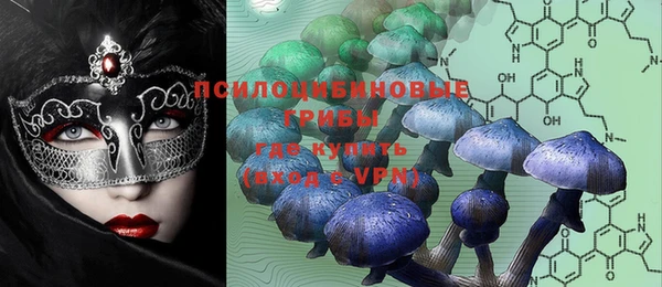 apvp Алексеевка