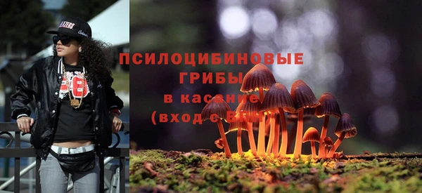 apvp Алексеевка